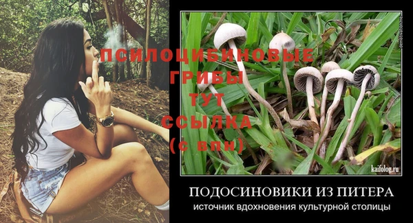 МДПВ Абдулино