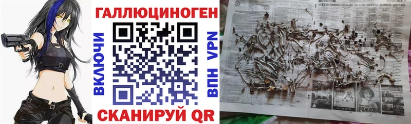 сколько стоит  shop состав  Псилоцибиновые грибы Cubensis  Скопин 
